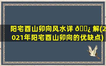 阳宅酉山卯向风水详 🌿 解(2021年阳宅酉山卯向的优缺点)